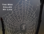 web